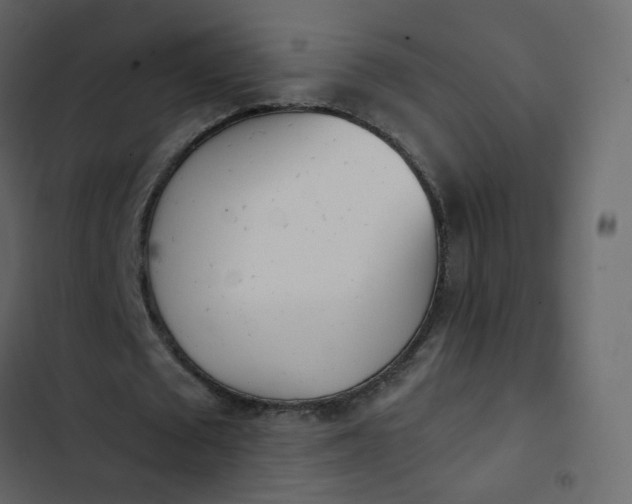 X0000102870673200809021448