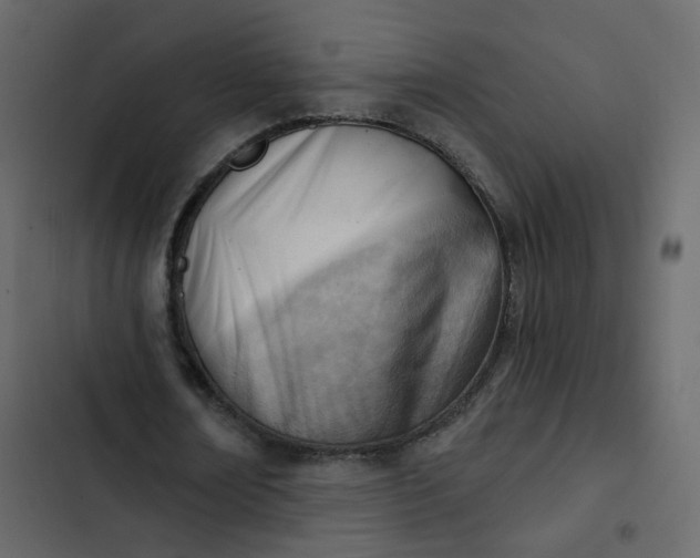 X0000102870674200809021448