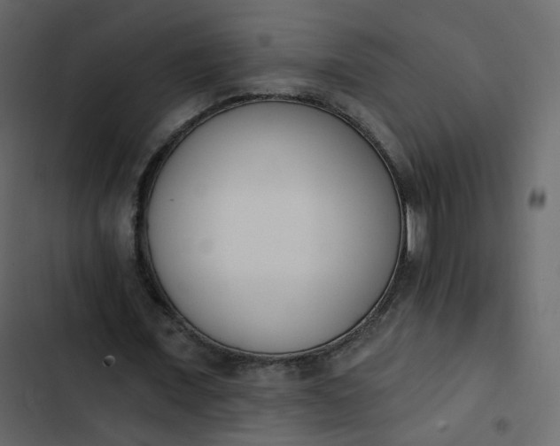 X0000102870675200809021448