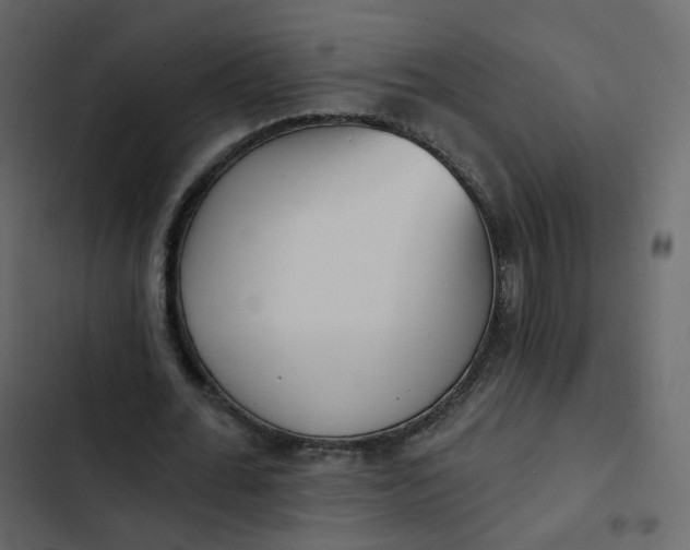 X0000102870676200809021448