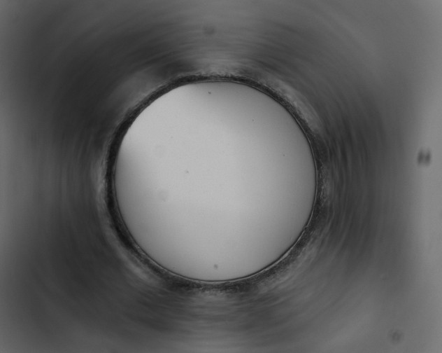 X0000102870677200809021448