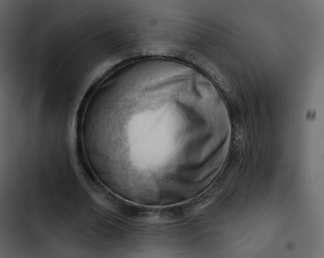 X0000102870678200809021448