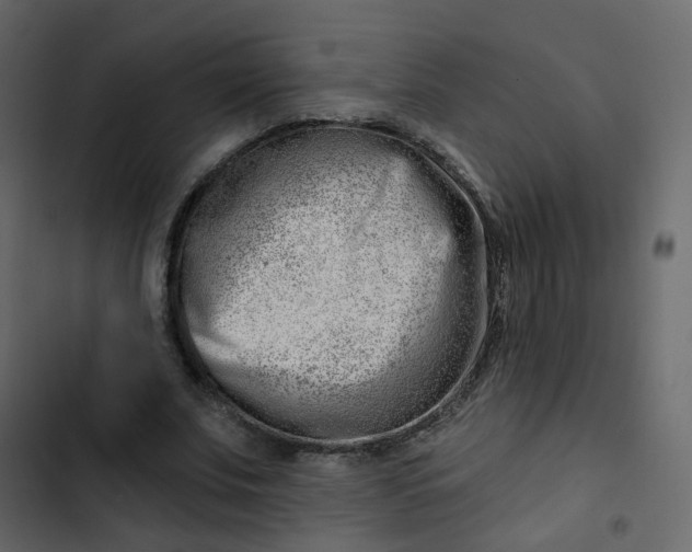 X0000102870679200809021448