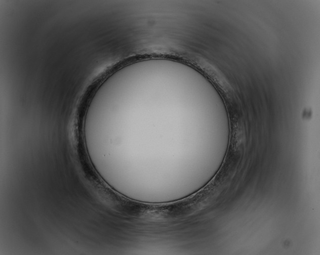 X0000102870680200809021448