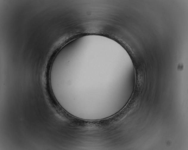 X0000102870682200809021448