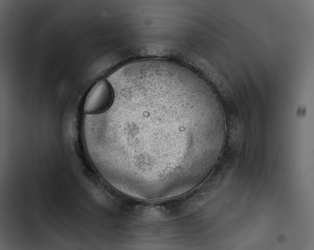 X0000102870683200809021448