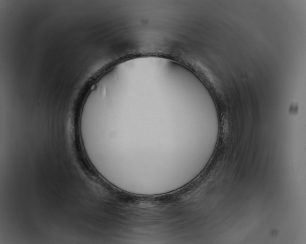 X0000102870684200809021448