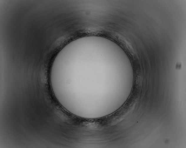 X0000102870689200809021448