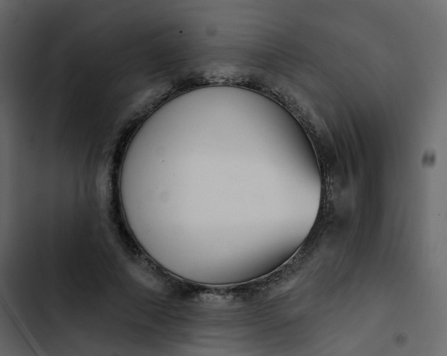 X0000102870690200809021448