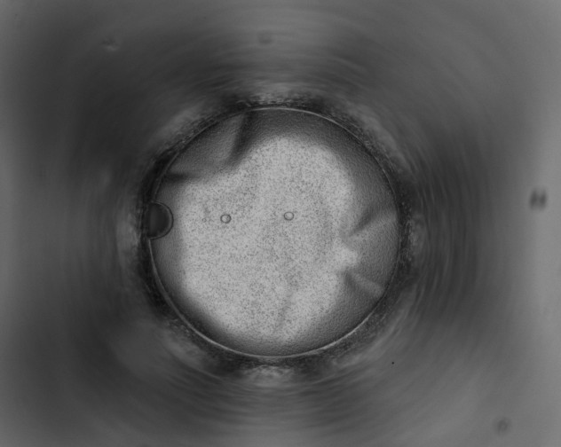 X0000102870691200809021448