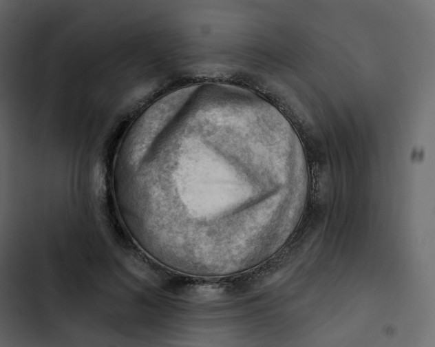 X0000102870692200809021448