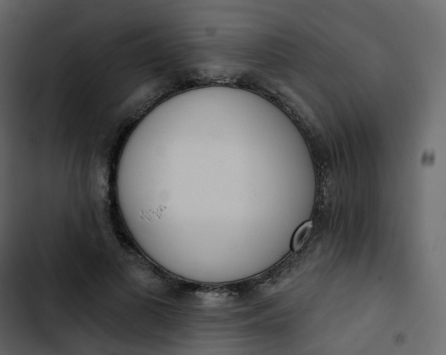 X0000102870693200809021448