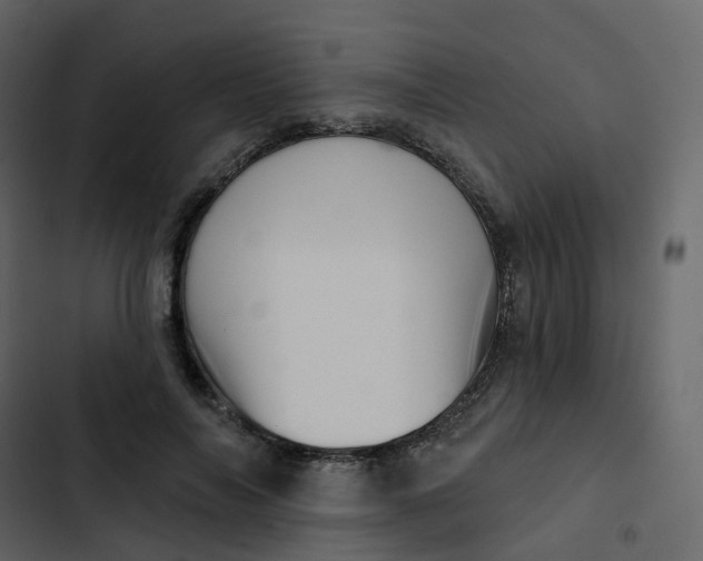 X0000102870694200809021448