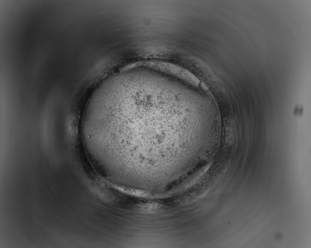 X0000102870695200809021448