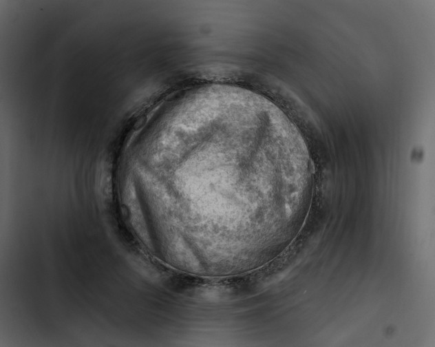 X0000102870696200809021448