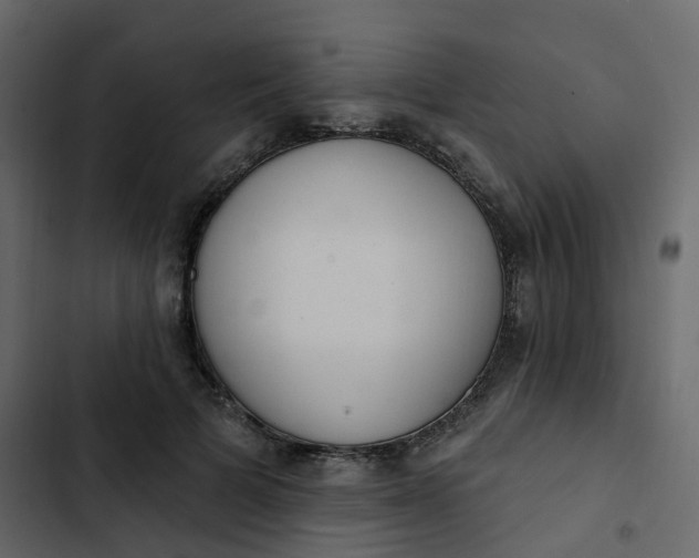 X0000102870697200809021448