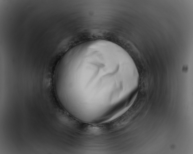 X0000102870706200809021447