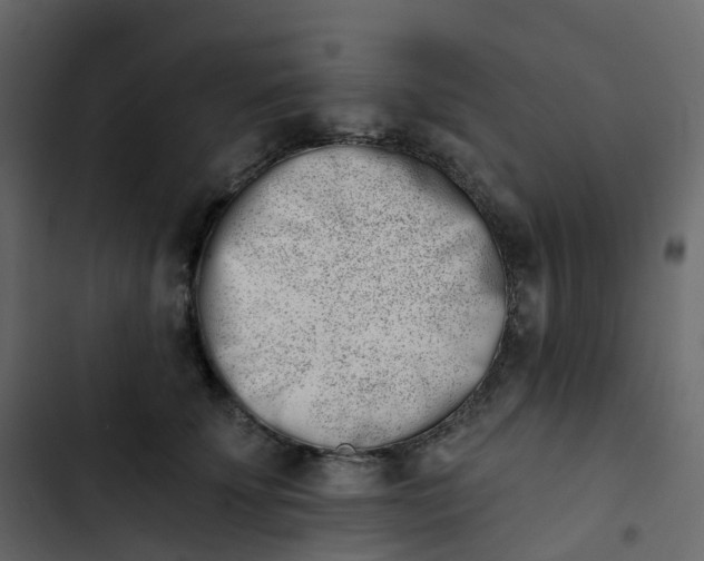 X0000102870707200809021447