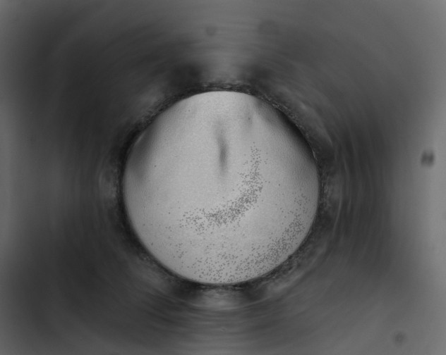 X0000102870708200809021447