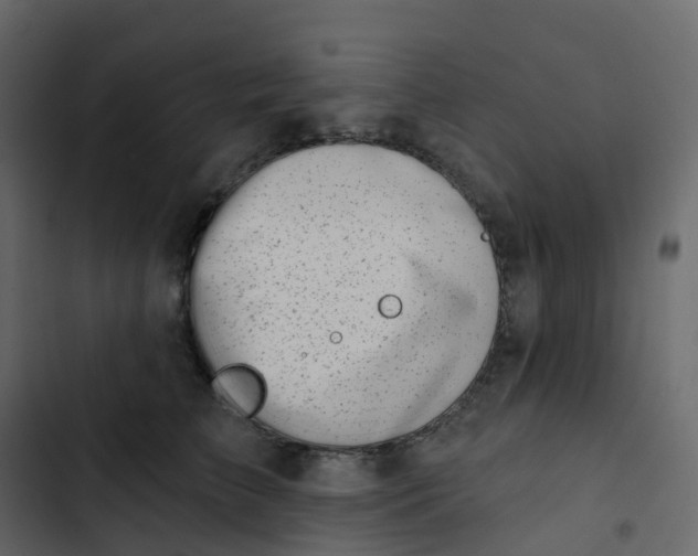 X0000102870709200809021447