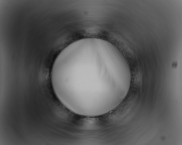 X0000102870711200809021447