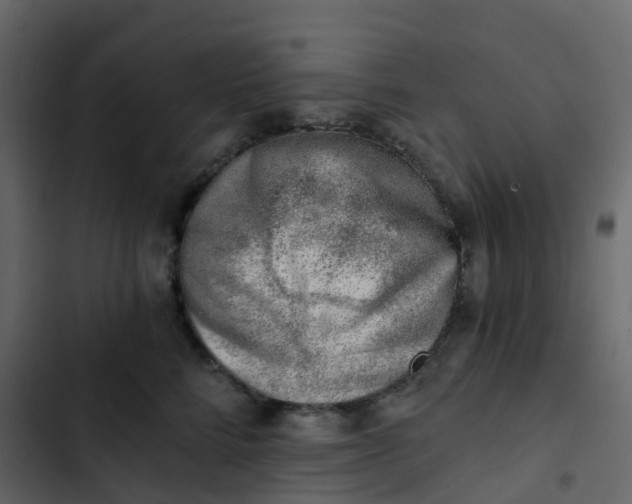 X0000102870712200809021447