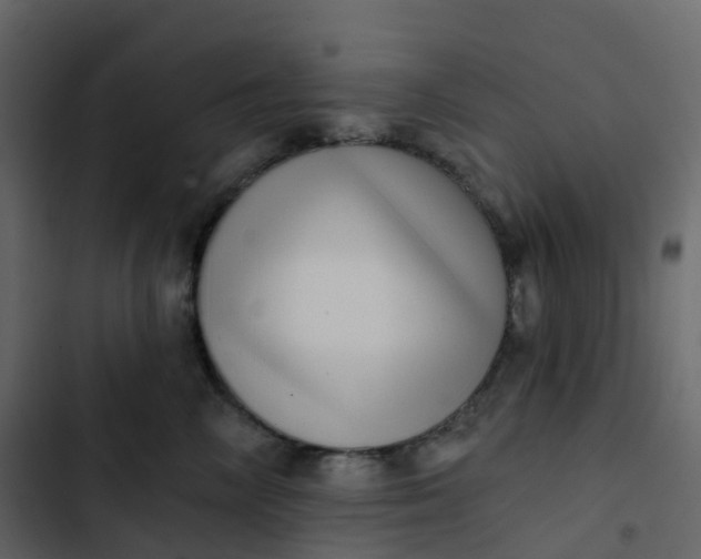 X0000102870714200809021447