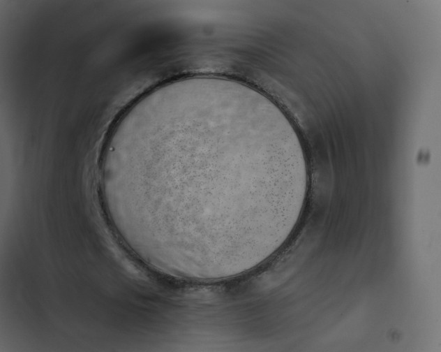 X0000102870721200809021446