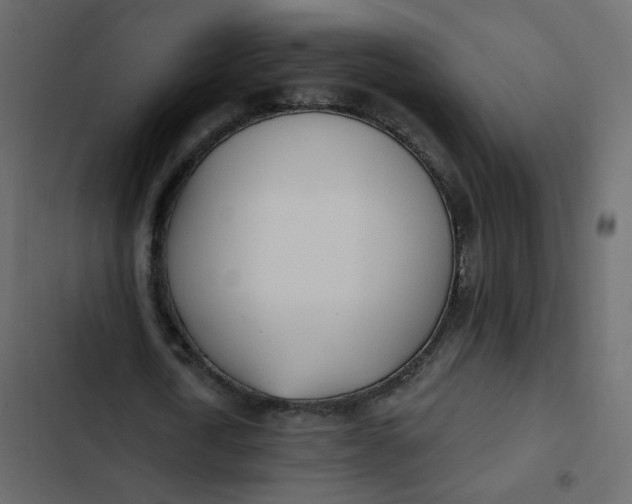 X0000102870722200809021446