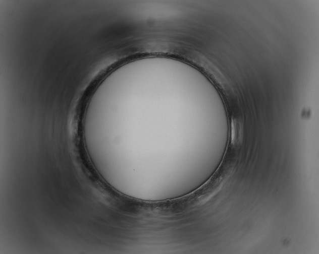 X0000102870723200809021446