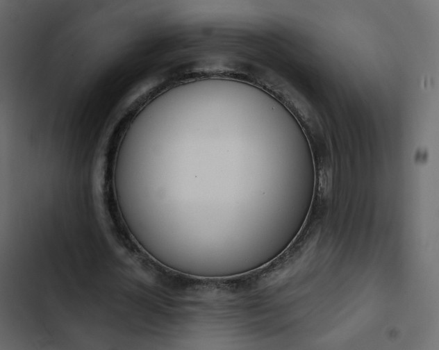 X0000102870724200809021446