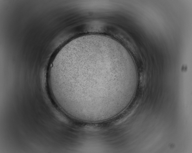 X0000102870725200809021446