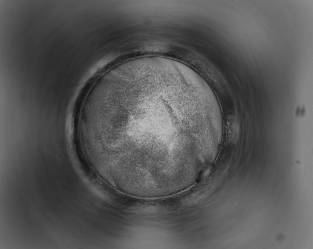 X0000102870726200809021446