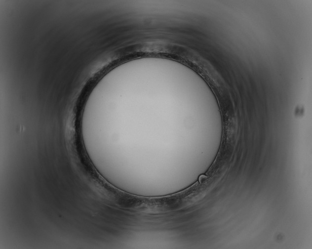 X0000102870727200809021446