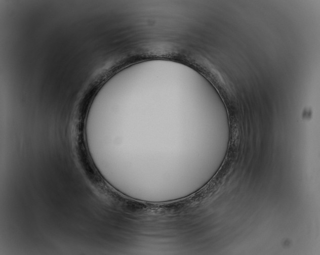 X0000102870736200809021447