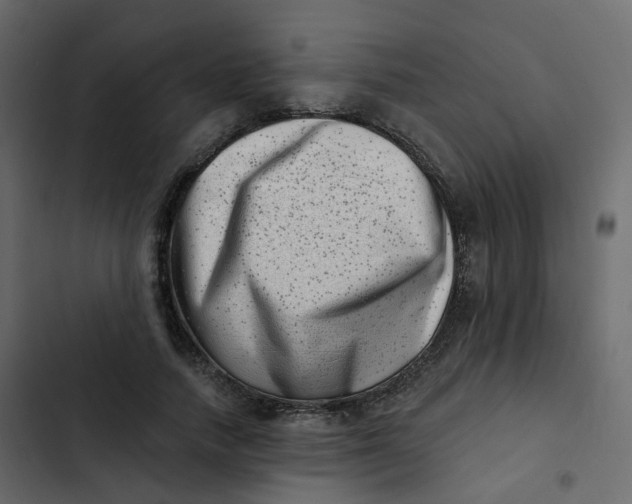 X0000102870738200809021447