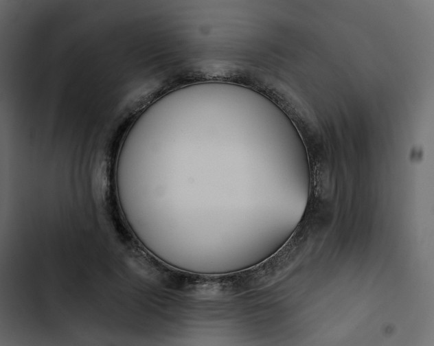 X0000102870740200809021447