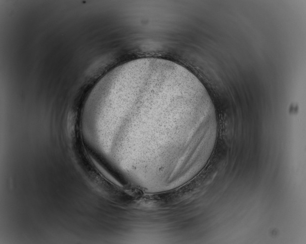 X0000102870742200809021447