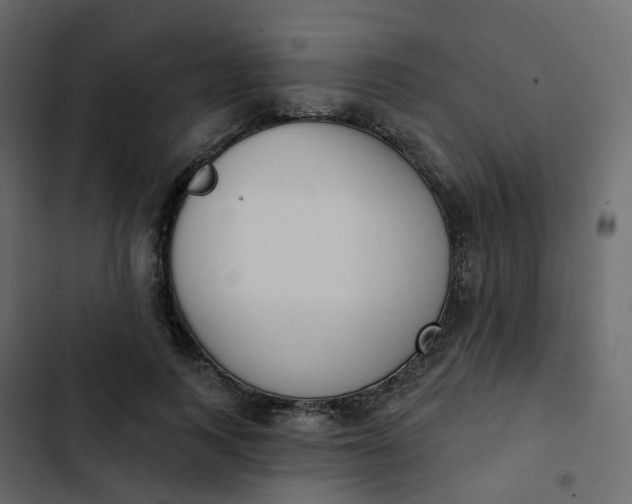 X0000102870743200809021447