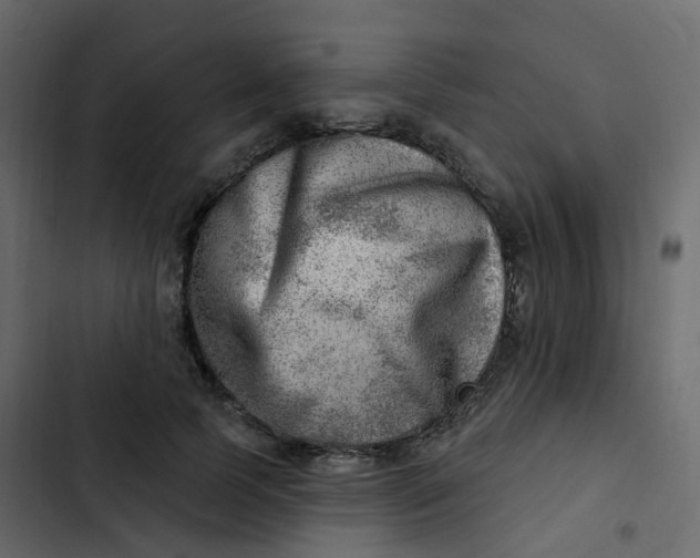 X0000102870745200809021447