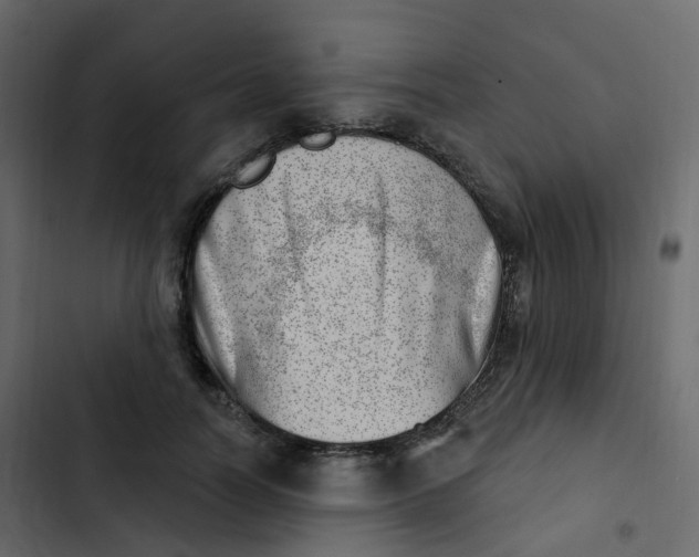 X0000102870746200809021447