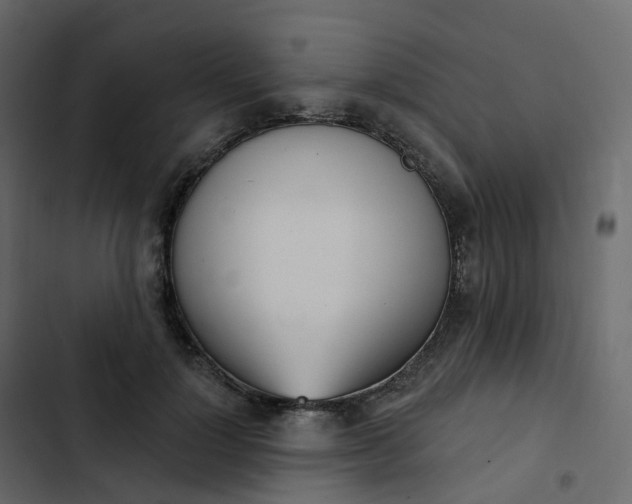 X0000102870748200809021447