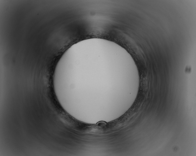 X0000102870750200809021447