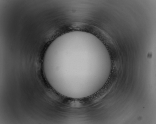 X0000102870751200809021447