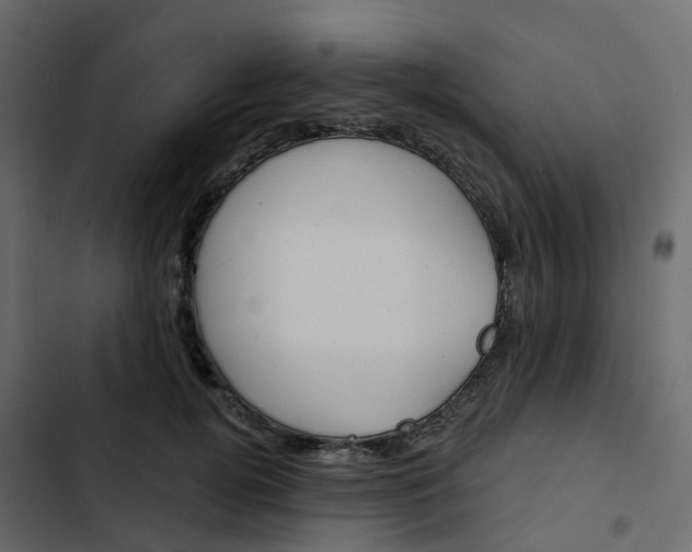 X0000102870752200809021447