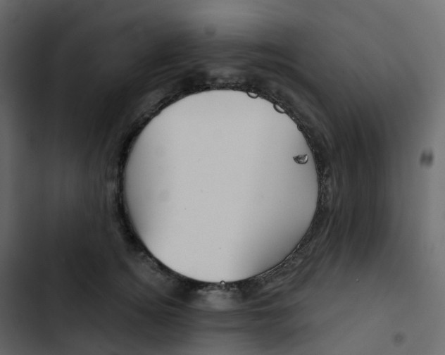 X0000102870756200809021447