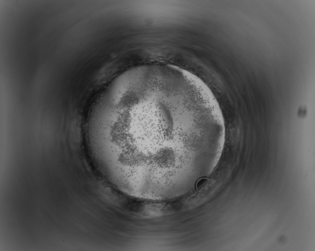 X0000102870757200809021447