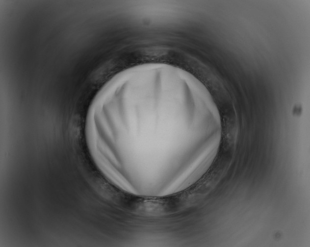 X0000102870758200809021447