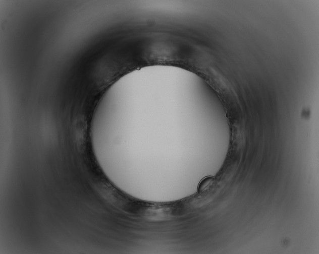 X0000102870760200809021447