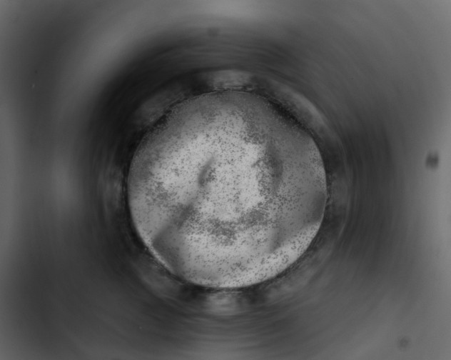 X0000102870761200809021447